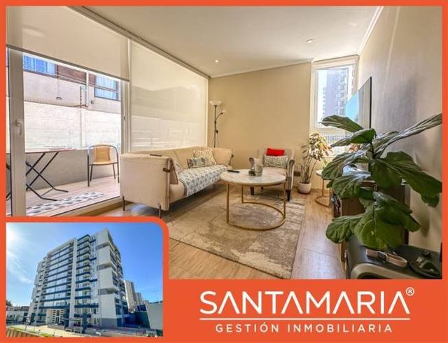 DEPARTAMENTO Lomas de San Sebastián, Concepción