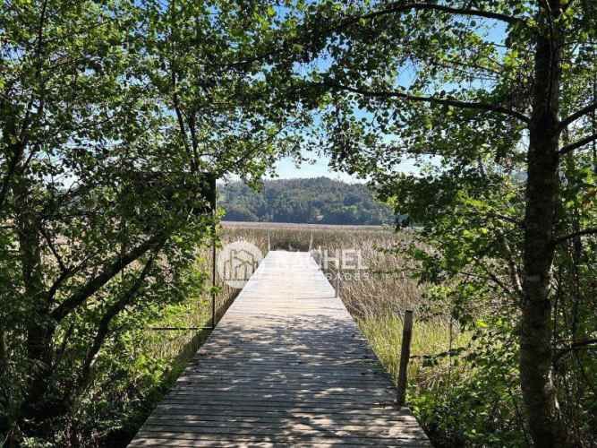 Venta de Departamento con vistas al Río – Isla Teja, Valdivia