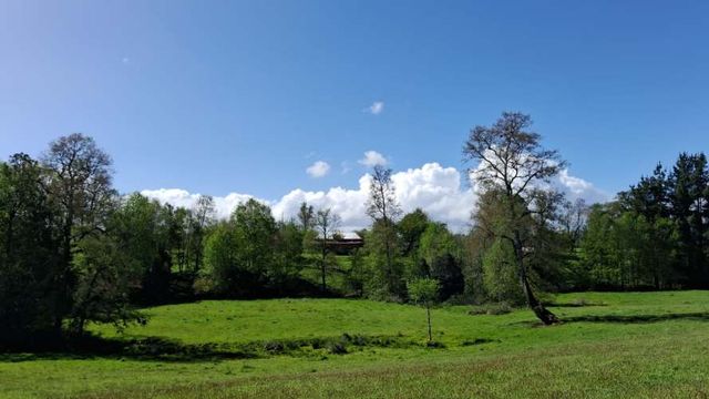 Vendo Parcelas Sector Collico, Río Bueno