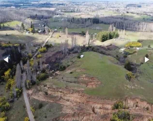 Vendo campo con viñedo organico centenario