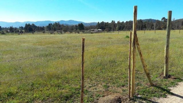 Linda parcela 5000m2 luz agua cercada rol plana