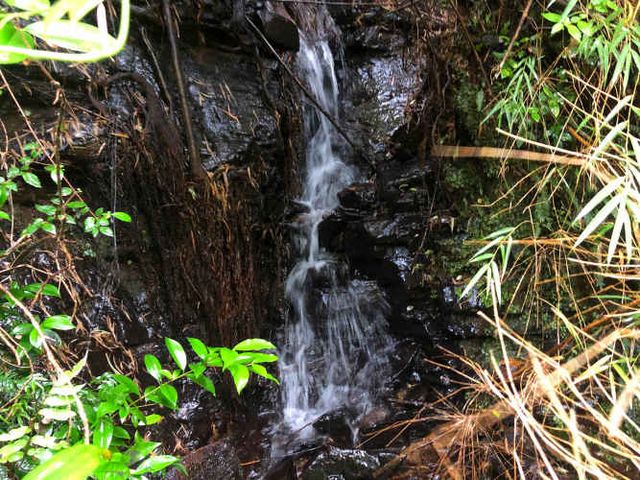 Se vende terreno tres hectareas sector Los Guindos