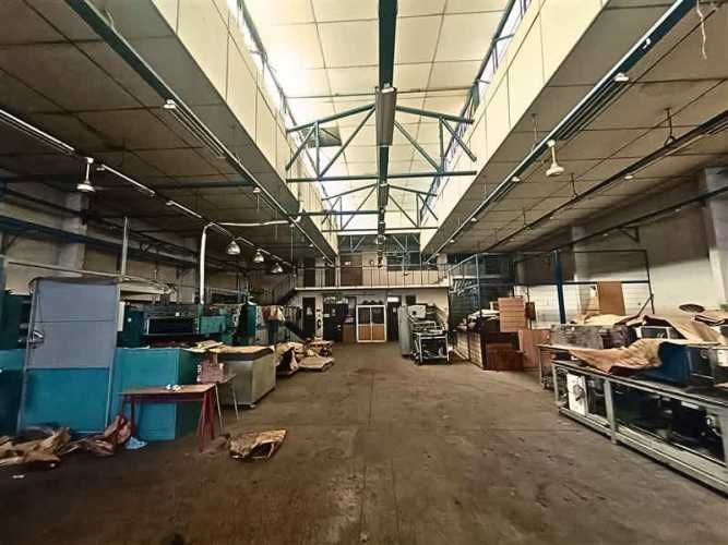 LOCAL COMERCIAL Chiloe /Victoria