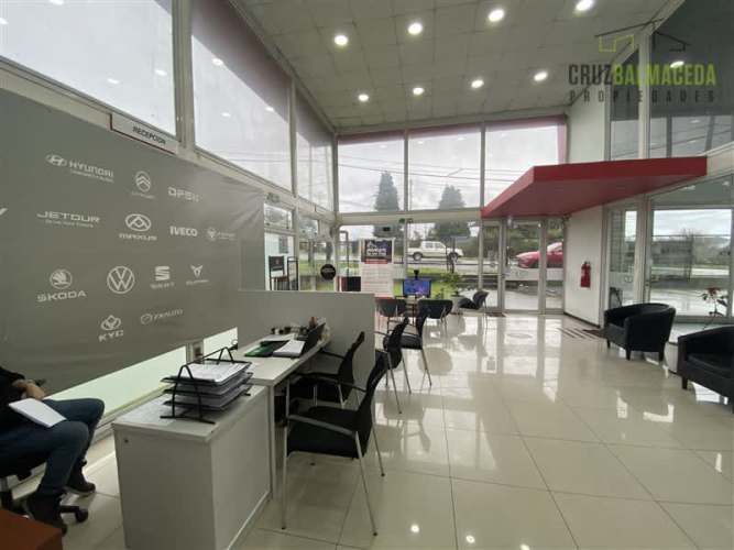 BODEGA Ruta 5 / Cardonal (Servimaq)