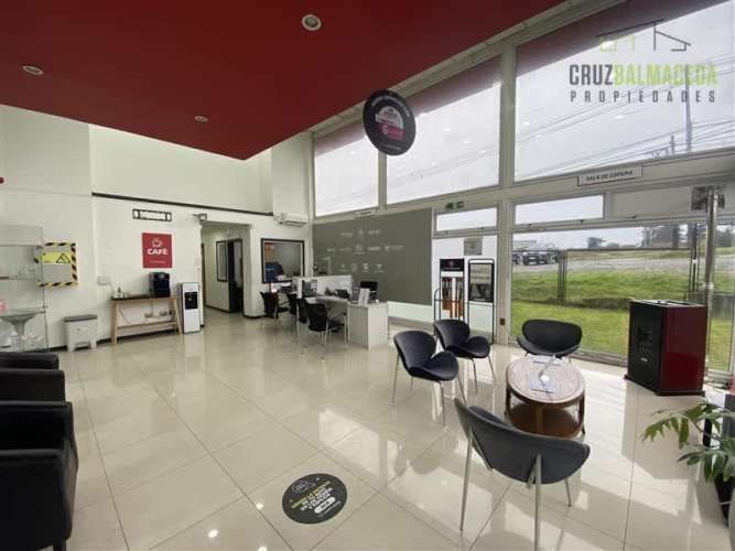 BODEGA Ruta 5 / Cardonal (Servimaq)