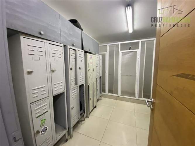 BODEGA Ruta 5 / Cardonal (Servimaq)