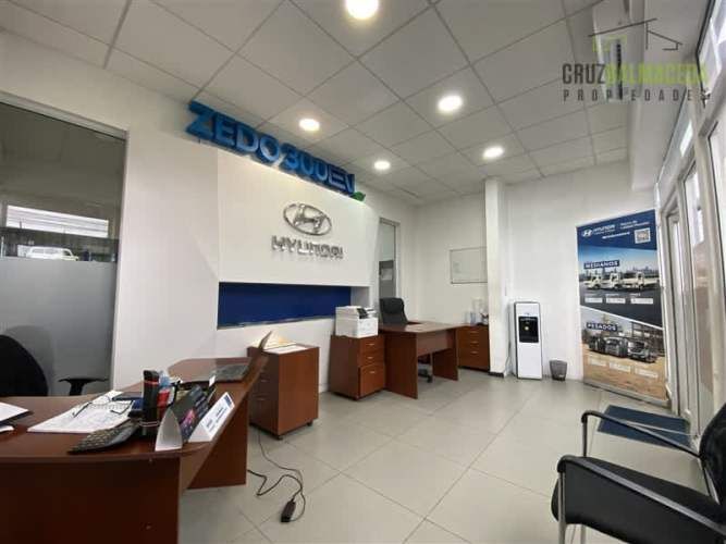 BODEGA Ruta 5 / Cardonal (Servimaq)