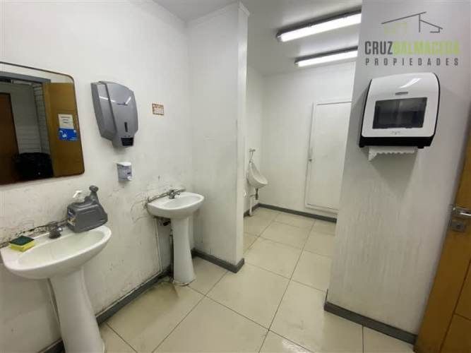 BODEGA Ruta 5 / Cardonal (Servimaq)