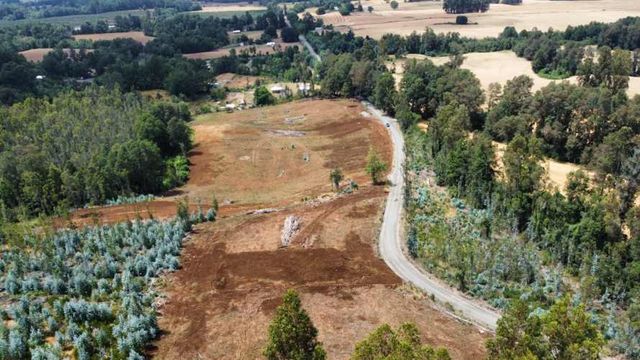 En Gorbea con vista al volcan a orilla de camino