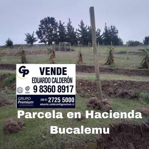 PARCELA Bucalemu