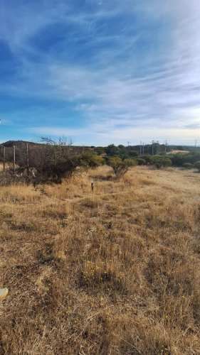 PARCELA Camino Cerro de la Virgen 50 LT