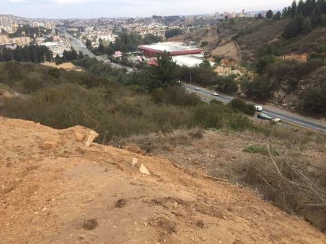 PARCELA Camino Internacional