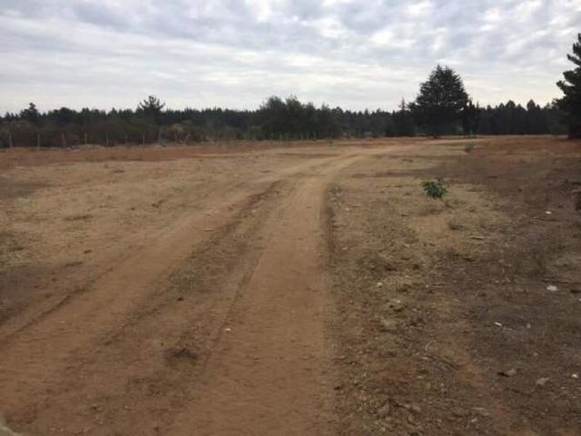 PARCELA Camino Internacional