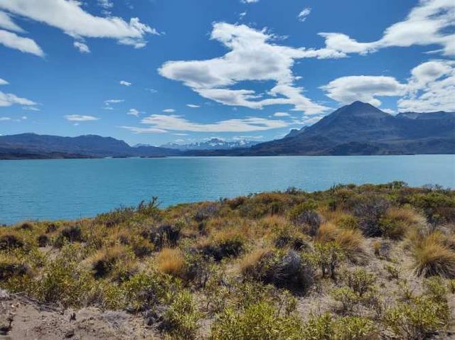 Parcelas de 4 hectáreas a orillas del Lago General Carrera
