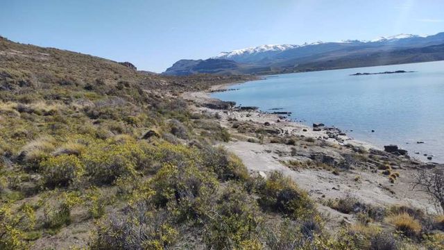 Parcelas de 4 hectáreas a orillas del Lago General Carrera
