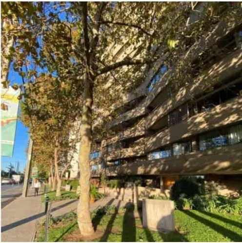 DEPARTAMENTO El tamarugo