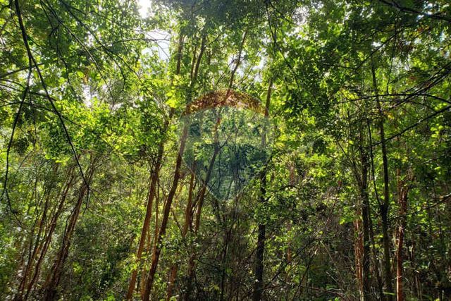 Terreno 3 hectáreas en villarrica