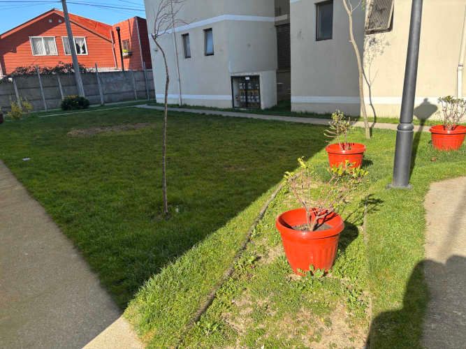 Departamento nuevo San Pedro