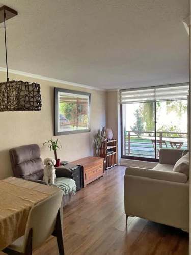 PRIMER PISO Y EXCELENTE CONECTIVIDAD EN SAN PEDRO