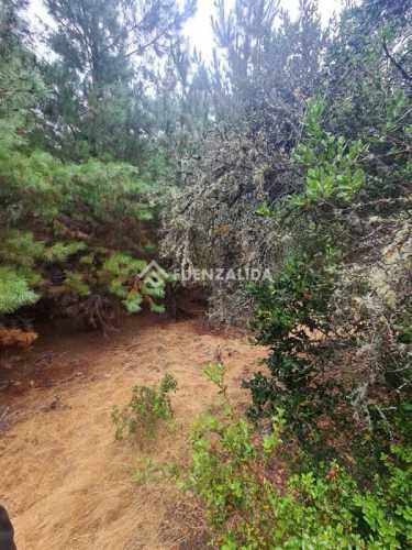 SITIO La Palmilla, Chepica