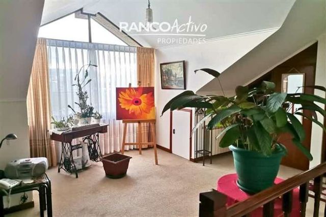 DEPARTAMENTO Hochstetter