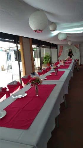 PARCELA El Despertar/Labranza