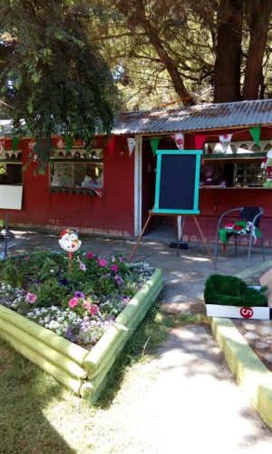 PARCELA El Despertar/Labranza