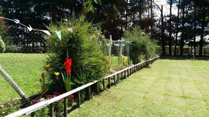 PARCELA El Despertar/Labranza