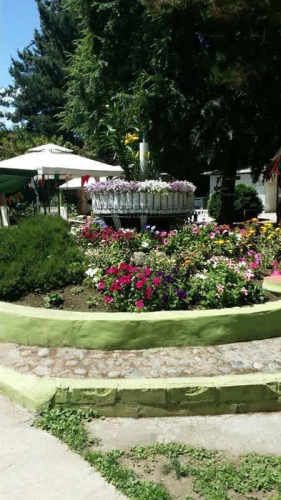 PARCELA El Despertar/Labranza