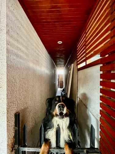 LINDA CASA FAMILIAR EN VENTA, CONDOMINIO CERRADO