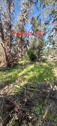 VENTA PARCELA DE AGRADO  KM 176 RUTA NORTE