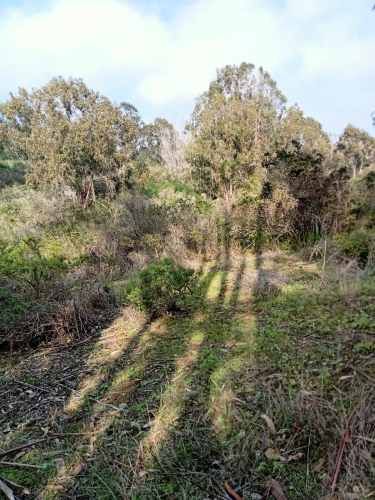 VENTA PARCELA HUAQUEN V REGION