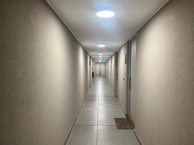 DEPARTAMENTO Guillermo Mann con Francisco Meneses