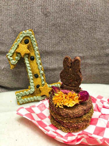 Maestro/a de cocina para conejos