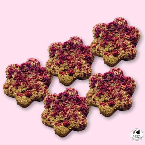 Maestro/a de cocina para conejos