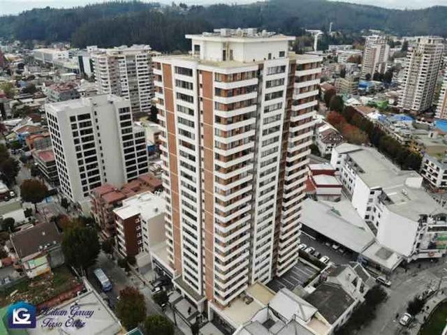 DEPARTAMENTO O'HIGGINS 1142