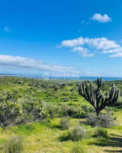 SITIO Cerca de Puerto Aldea