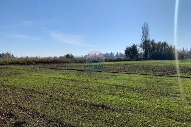 Parcela en pichidegua bajamos el precio