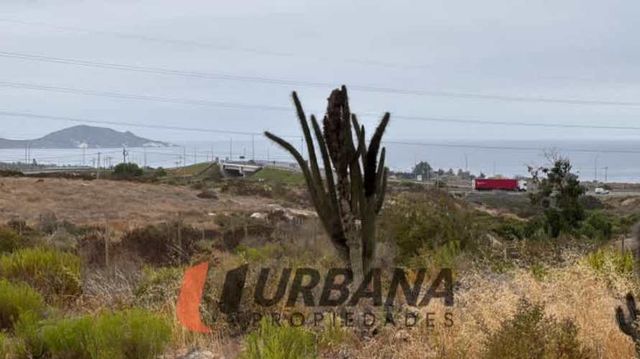 Sitio LOMAS DE GUANAQUEROS SITIO 5000M2 (53)