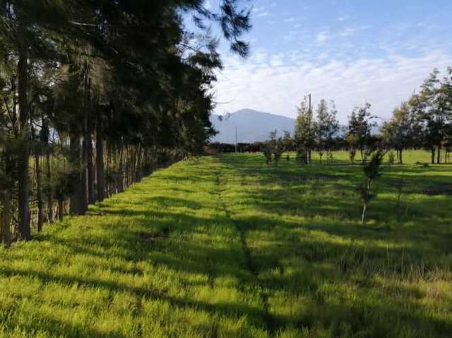 VENDO PARCELA 7.500 M2  SECTOR QUEBRADILLA  - LA L