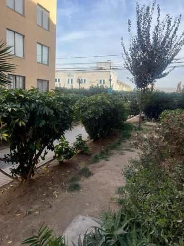 Departamento METRO BLANQUEADO