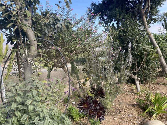 CASA CAMINO ALTOVALSOL A LAS ROJAS / FRENTE A PARQUE ACUATICO LAS CURUNINAS