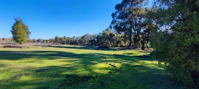 PARCELA Fundo El Cienago, Quillón