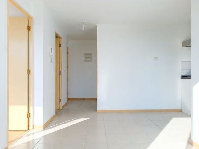 Zenteno 1490 (1 Bod)