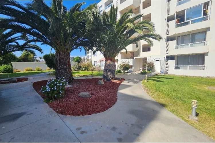 Tu nuevo hogar en la serena ¡descúbrelo!