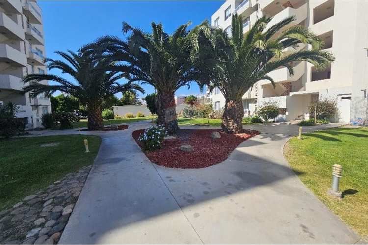 Tu nuevo hogar en la serena ¡descúbrelo!