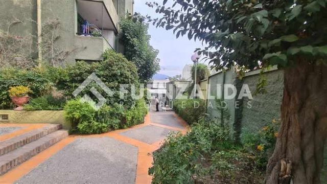 DEPARTAMENTO Raúl Labbe/ Colegio Parroquial Santa Rosa