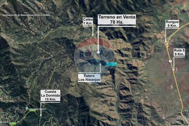 Para inversionistas 78 hectáreas en valle de caleu