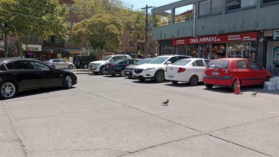 DEPARTAMENTO irarrazaval