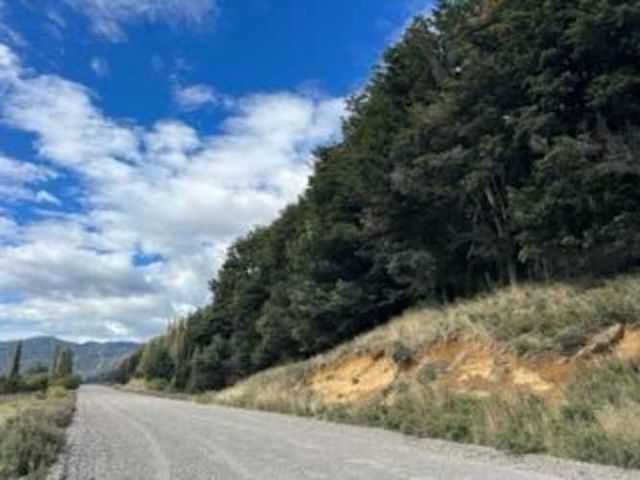 SITIO Lindo campo de 282 hect en Carretera Austral al sur de Villa Cerro Castillo